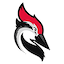 Woodpecker