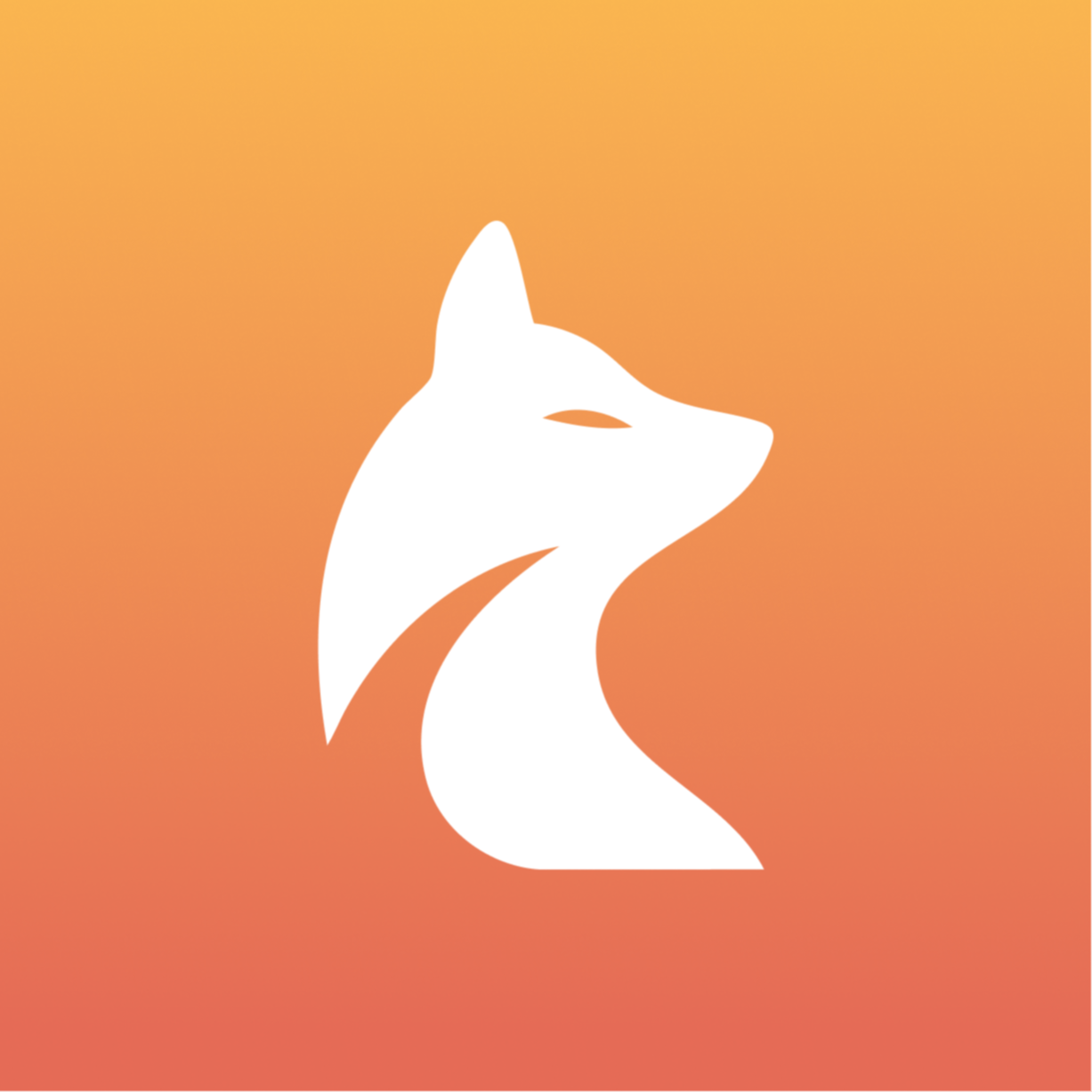 Audit Fox-icon