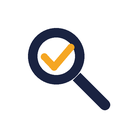 SEO Audit Pro