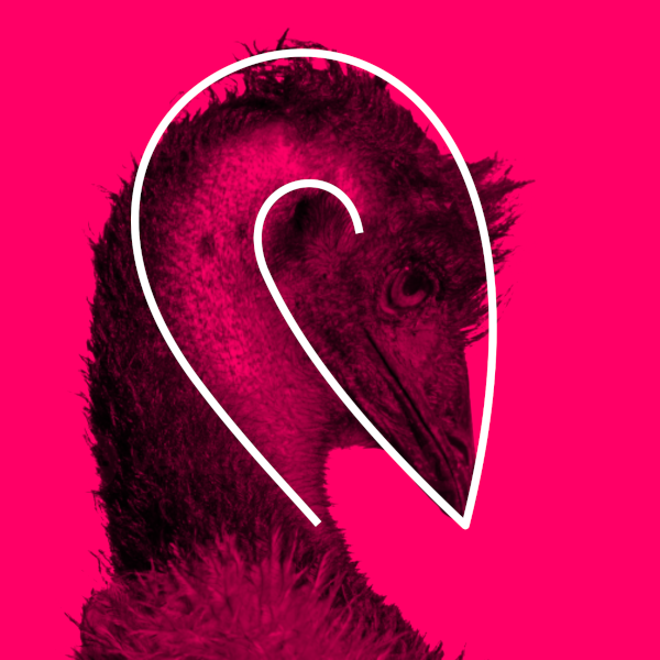 Phone Number Formatter